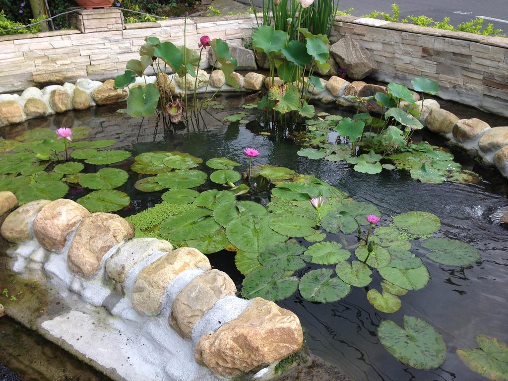 Songyuan B&B Lugu Exteriér fotografie