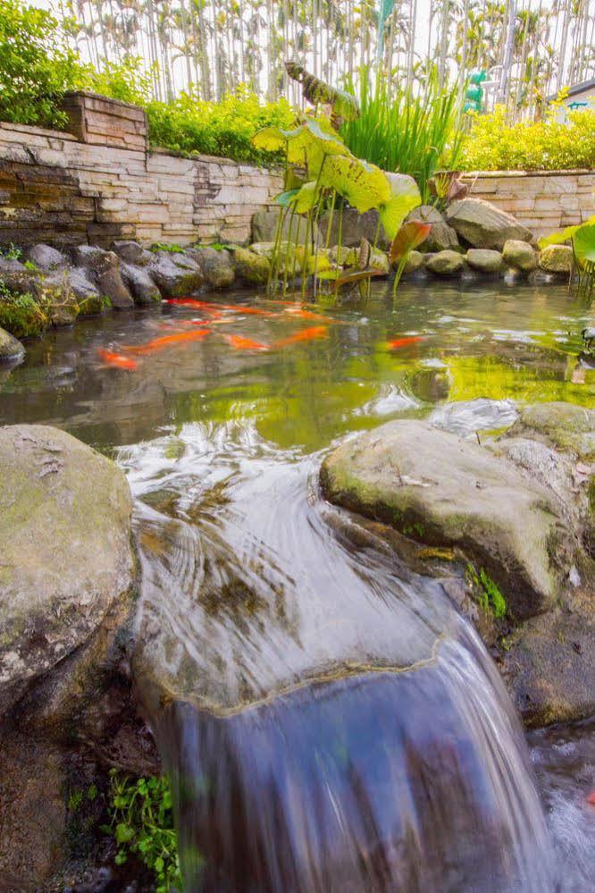 Songyuan B&B Lugu Exteriér fotografie